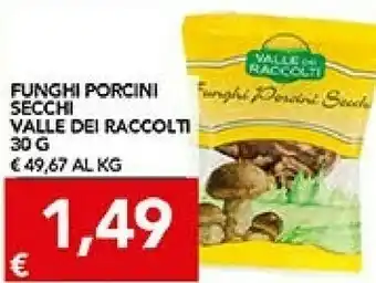 TuoDi Vallè Funghi porcini offerta