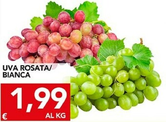 TuoDi Uva offerta