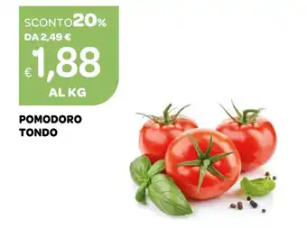 Ekom POMODORO TONDO offerta