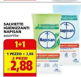 Il Gigante Napisan Salviette Igienizzanti offerta
