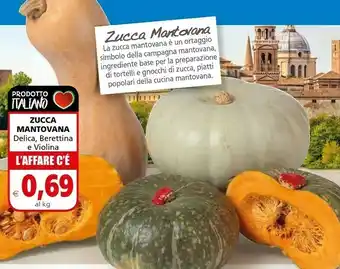 Il Gigante Zucca Mantovana offerta
