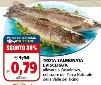 Il Gigante Trota Salmonata Eviscerata offerta