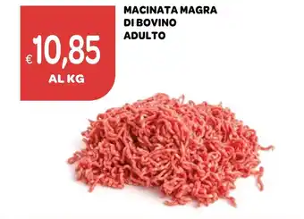 Ekom MACINATA MAGRA DI BOVINO ADULTO offerta