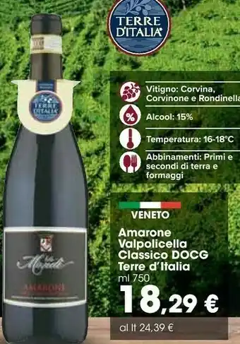 Carrefour Terre d'Italia Amarone Valpolicella Classico Docg offerta