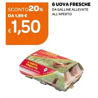 Ekom 6 UOVA FRESCHE DA GALLINE ALLEVATE ALL'APERTO offerta