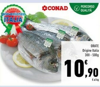Conad Orate offerta