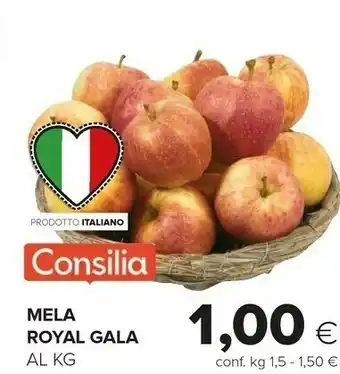 Oasi Mela Royal Gala offerta