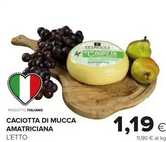 Oasi Caciotta Di Mucca Amatriciana offerta