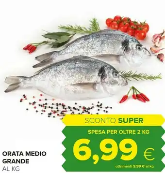 Oasi Orata Medio Grande offerta