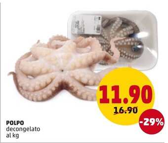 PENNY Polpo offerta