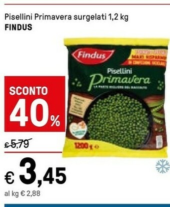 Iper La Grande Findus Pisellini Primavera Surgelati offerta