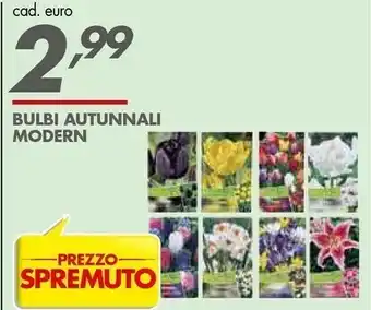 Bulbi Autunnali Modern