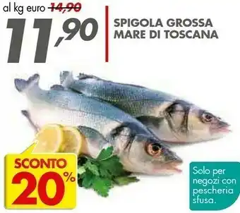 Italmark Spigola Grossa Mare Di Toscana offerta