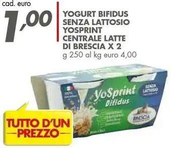 Italmark Centrale Del Latte - Yogurt Senza Lattosio Bianco 250 G(ml) offerta