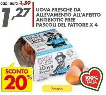Italmark Pascoli Del Fattore Uova Fresche Da Allevamento offerta