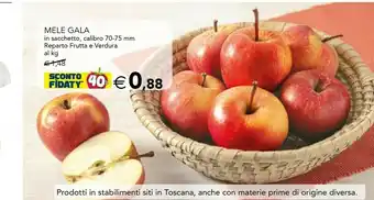 Esselunga Mele Gala In Sacchetto offerta