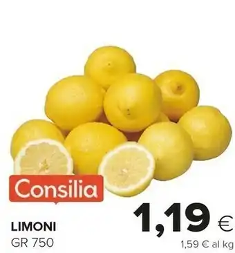 Oasi Consilia Limoni offerta