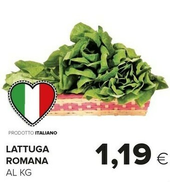 Oasi Lattuga Romana offerta