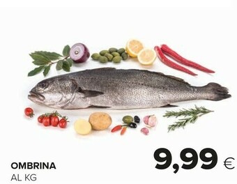 Oasi Ombrina offerta