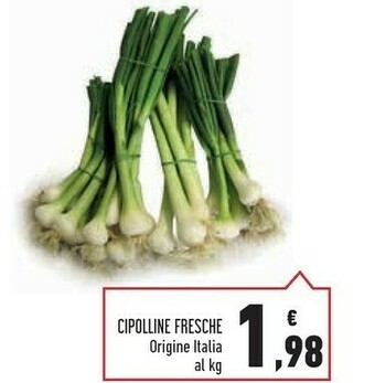 Cipolline Fresche