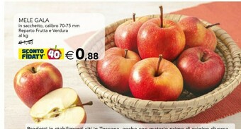 Esselunga Mele Gala In Sacchetto offerta