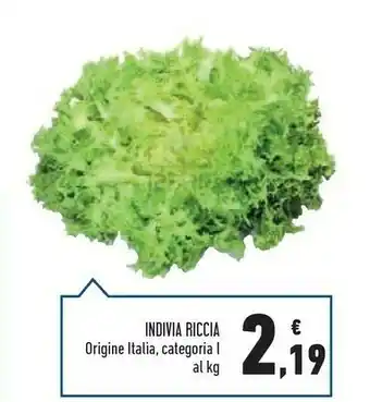 Indivia Riccia