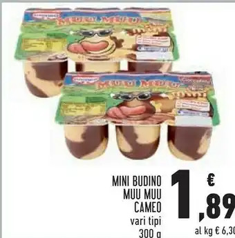 Conad Superstore Cameo Dessert offerta