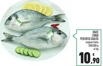 Conad Conad Orate offerta