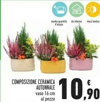 Conad Superstore Ambra Piante offerta