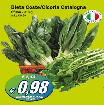 Bieta Coste/Cicoria Catalogna