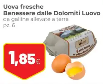 Uova fresche Benessere dalle Dolomiti Luovo da galline allevate a terra pz. 6