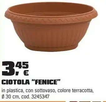 CIOTOLA “FENICE”