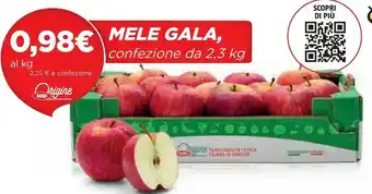 Coop Coop Mele Gala offerta