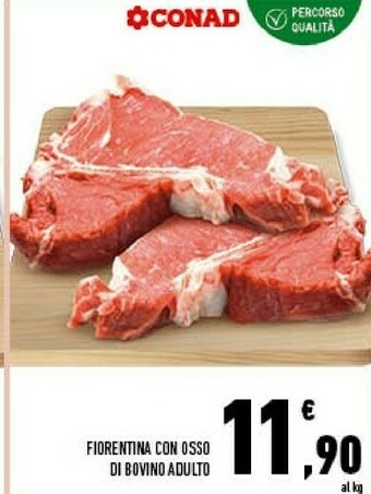 Conad City Fiorentina Con Osso Di Bovino Adulto offerta