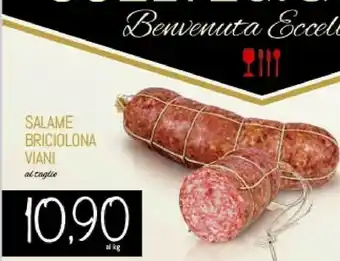 Conad Salame Briciolona Viani offerta