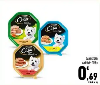 Conad Cesar Cani offerta