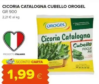 Oasi Orogel Cicoria Catalogna Cubello offerta