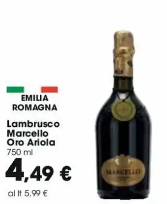 Carrefour Marcello Oro Ariola Lambrusco 750ml offerta