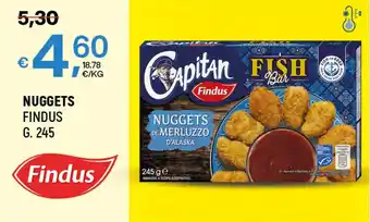A&O NUGGETS FINDUS G. 245 offerta