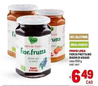 Metro FIOR DI FRUTTA BIO RIGONI DI ASIAGO vaso 650 g offerta