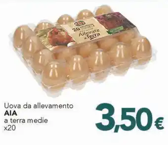 Altasfera Uova da allevamento AIA a terra medie x20 offerta
