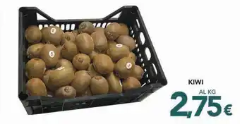 Altasfera KIWI offerta