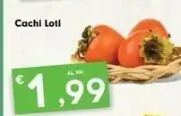 Cachi Loti