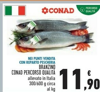 Conad Conad Branzino Percorso Qualita offerta