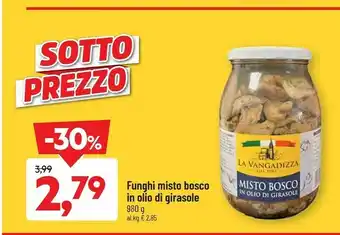 DPiù La vangadizza Funghi Misto Bosco In Olio Di Girasole offerta