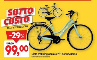 Ciclo Trekking Acciaio