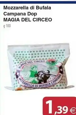 Docks Cash&Carry Mozzarella di bufala offerta