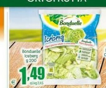Elite Bonduelle Iceberg offerta