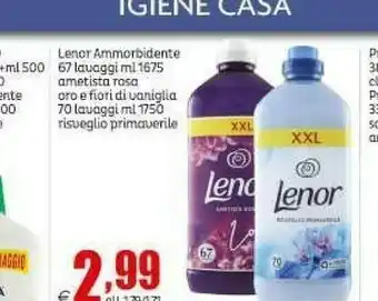 Elite Lenor Ammorbidente offerta
