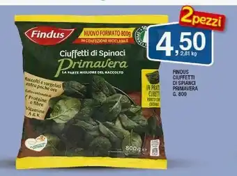 Ok Sigma Findus Spinaci offerta